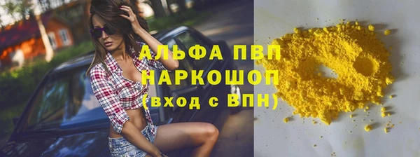молекула духа Бородино