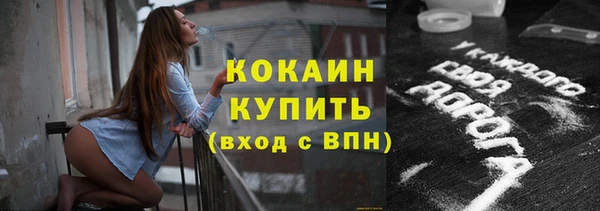 молекула духа Бородино