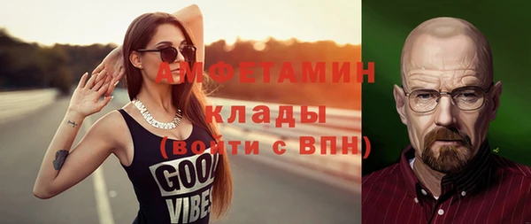 молекула духа Бородино