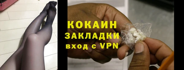 молекула духа Бородино