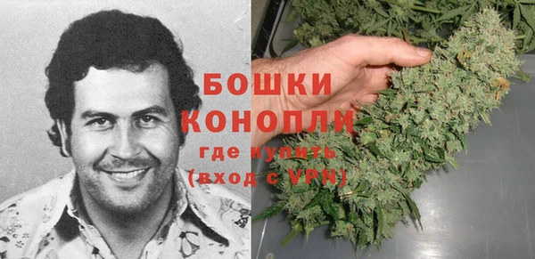 молекула духа Бородино