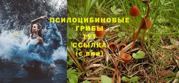 молекула духа Бронницы